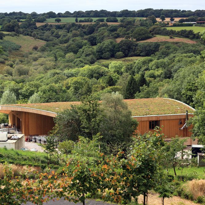 Is your green roof as sustainable as you think? - Green Roofing For Cabin Resorts